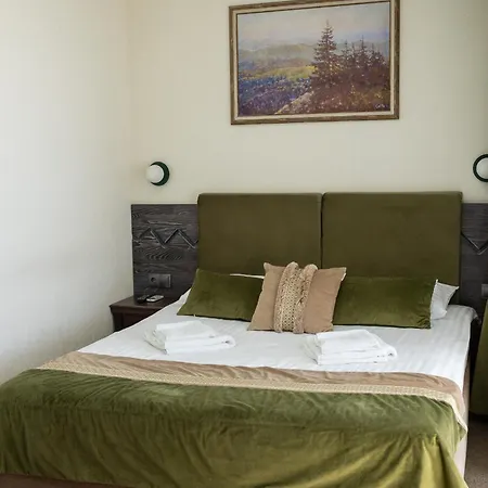 синевирський перевал מלון *