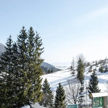 Otel синевирський перевал
