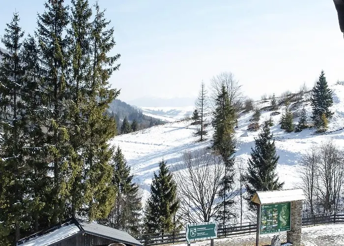 синевирський перевал Otel Synevyr